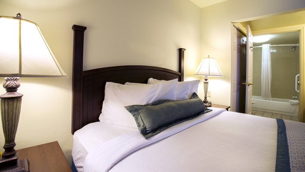 Staybridge Suites Denver International Airport By Ihg Exterior foto